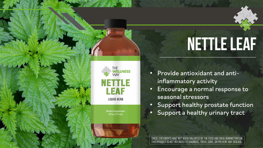 The Wellness Way Nettle Leaf