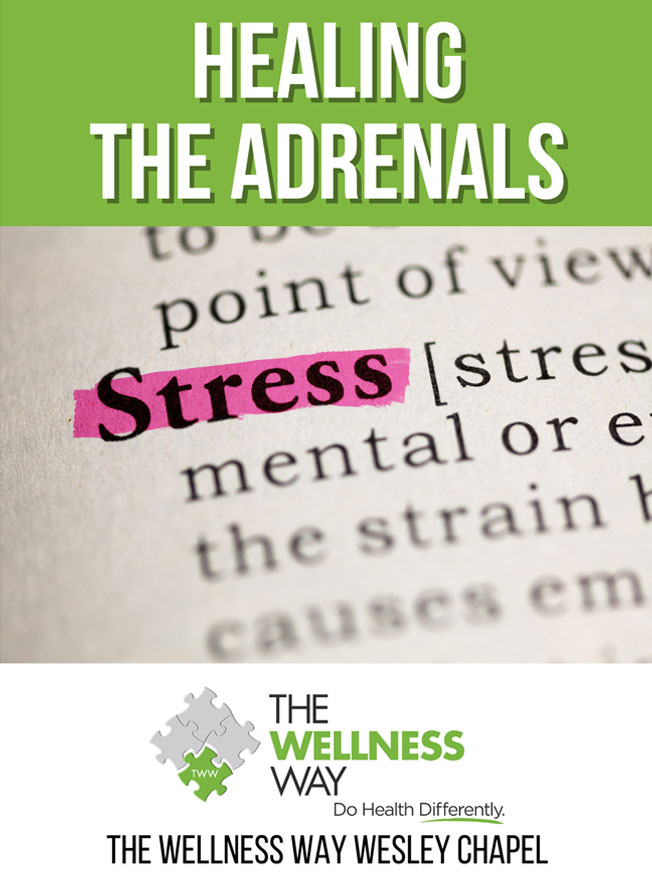 Healing the Adrenals Guide